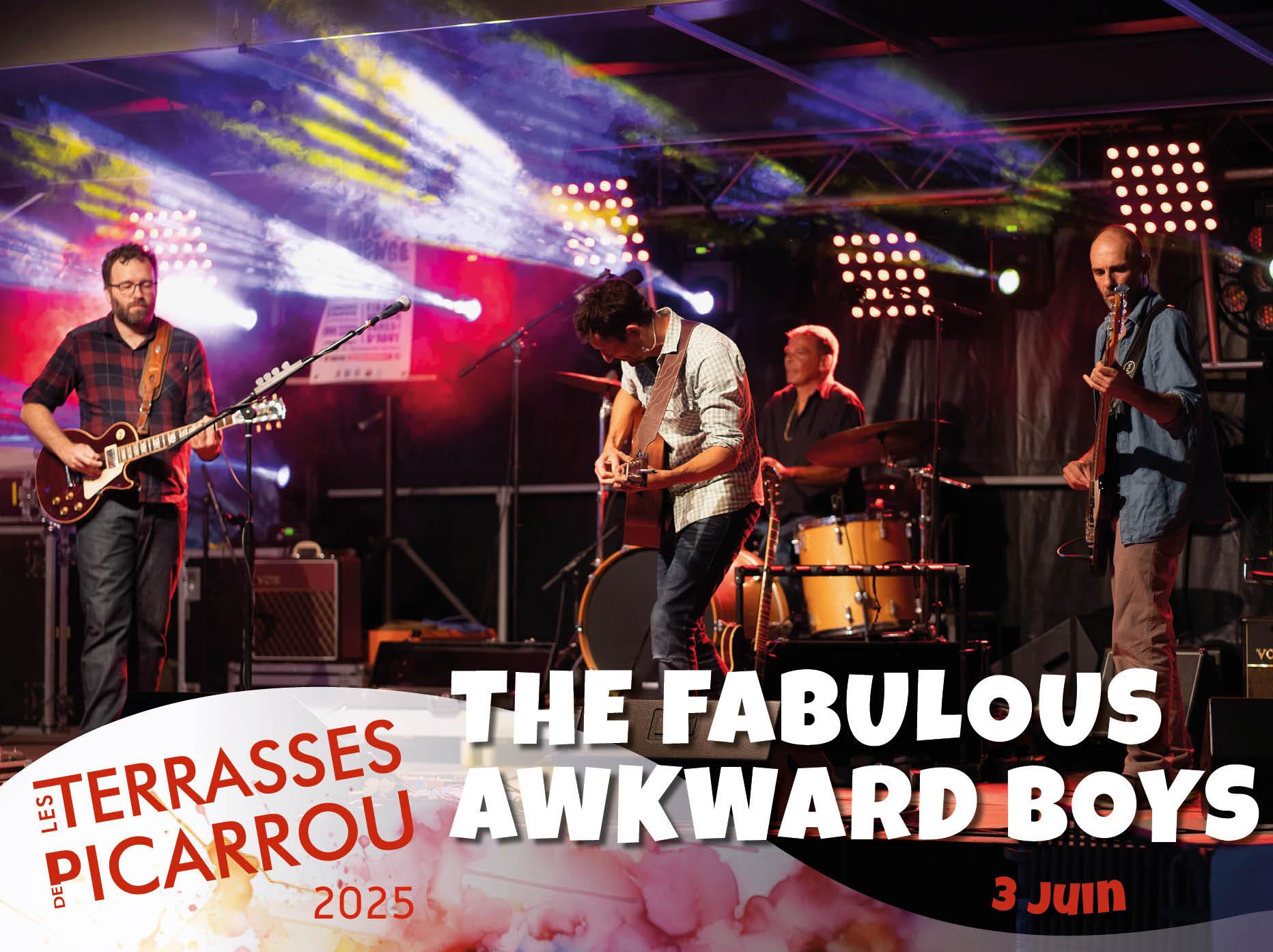 01 the fabulous awkward boys