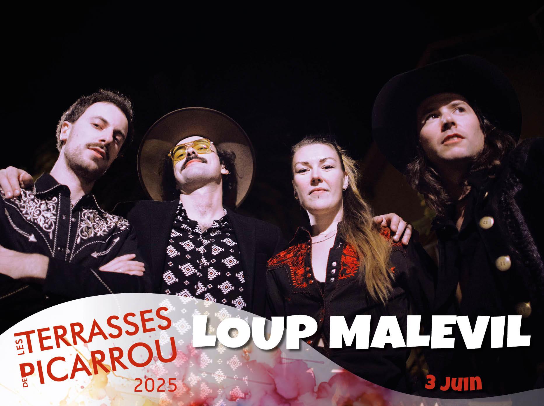 02 loup malevil