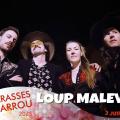 02 loup malevil