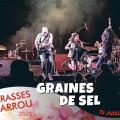 08 graines de sel